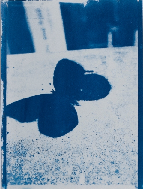 Cyanotype 1