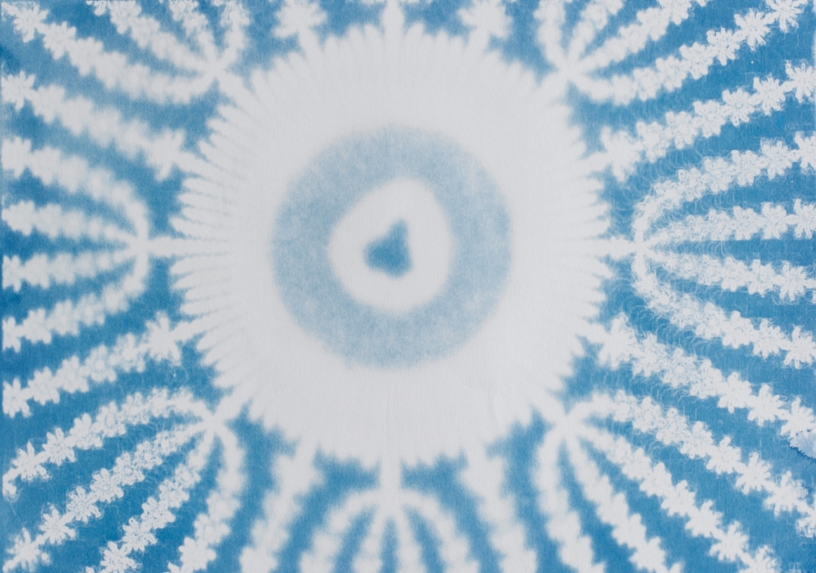 Cyanotype 3