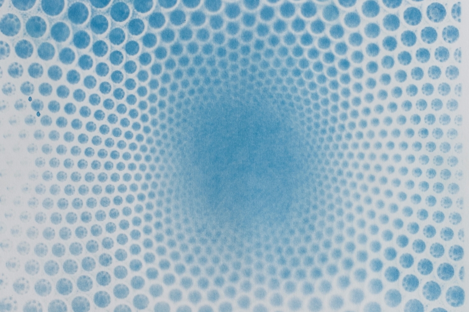 Cyanotype 6