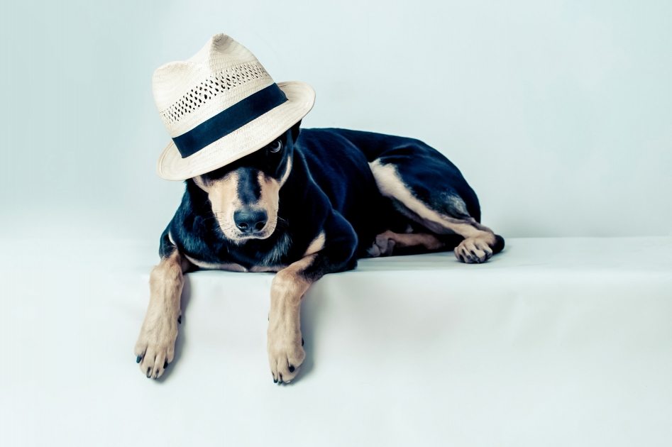 Hat Series 4